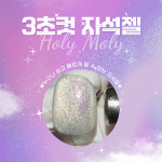 요고마요 홀리핑크 투명한 파우더 자석젤 + 자석포함 : 네일존