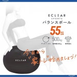 ELECOM 밸런스 볼 55cm 피트니스 공기 넣어 내하중 500kg 블랙 HCF-BB55BK : Adds