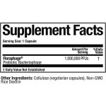 아서 앤드류 메디컬 플로라파지 90 캡슐 : 헬스4U