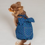 강아지여름옷 D11 애견 옷 캔디리본 올인원 네이비 : 해바라기마케트