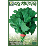 다농 치마아욱 씨앗 25g 아욱씨 종자 : 양동씨앗마켓