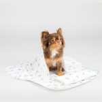 반려 용품 D18 댕댕이 인견 베드세트 배드 강아지 침대 강이지베드 애견 애완 방석 하우스 : 마로스상회