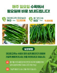 미인풋고추 미인고추 못난이 1kg : 충주자담농원