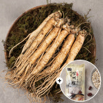 무세척 삼계용삼(소)200g+200g+삼계탕 국물재료 100g 백숙재료 삼복 초복 중복 말복 보양식 : 세일즈파워