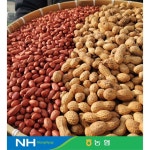 [대성농협]전북 고창군 국산땅콩300g~[23927515] : NS홈쇼핑