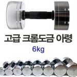 한국산 크롬도금 아령 6kg 덤벨 근력운동 홈트레이닝 : 이즈컴
