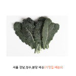 뉴그린 2kg 가락시장 내일 새벽6시 배송지역 식당만 직접배송 : 식당만 배송 마켓대리서비스