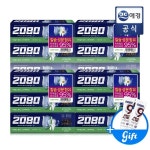 파워쉴드 플러스(+)그린페퍼민트 120g x 12개 + 50g 2개 2080 : 리디유통