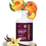 박준 뷰티랩 LPP 프로틴단백질 약산성 무실리콘 샴푸1000ml : 씨앤클릭