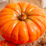 무르익은 늙은 호박 모형 유광 주황 (소-지름 18cm） : 엠디자인