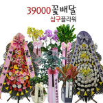 39000꽃배달 삼구플라워 사구 49플라워 화환35000 43 45 49 59 오구플라워 : 39000꽃배달 삼구플라워