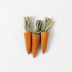 앵무새 장난감 당근 부리갈이 3P 천연 재료 용품 : 아가새농장