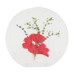 [한진과학] 식물표본 부채액자 만들기(생태체험학습)(4인 세트) : 한진과학