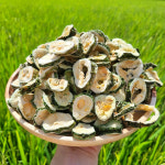 천지농원 무농약 건여주 말린여주 직접재배 25년산 : 화순 천지농원