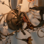 VIVALDI_BR [비발디] : CASAINLUCE