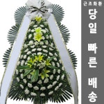 교동리 언양요양병원장례식장 전국꽃배달당일배송 근조화환꽃도매 : 화환집