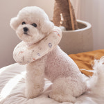 강아지 고양이 쿠션 넥카라 퍼피 애견 중형견 깔대기 목보호대 : 도그아이