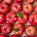 씻어나온사과 경북의성 당도선별 부사 홍로 세척 사과 2kg 꼬마사과 : 언제나맑음  스토어