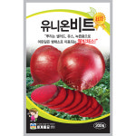 야채 가을 모종 씨앗 종자 김장 뿌리채소 쌈채소 청아무 15g 키우기 대성식물 : 대성식물