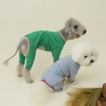 퍼피갤러리 베이비파우더 강아지 올인원 대형견옷 리트리버옷 : 제라미펫