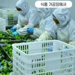 주방팔토시 흰색토시 흰 방수 발수 코팅 주방 식당 위생 세차장 팔 토시 : 난이마트