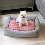 패리스독 디어마이 베드 - 그레이 : 마이비컴