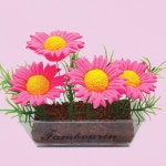 가을 계절 클레이 꽃꽂이 코스모스 화분만들기 5인 창의성 : 위캔쇼핑