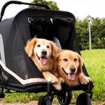 (방석 레인커버포함)이비야야 그랜드크루저 강아자유모차 개모차 대형견 유모차 45kg 탑승 : 제라미펫