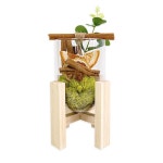 계피 스칸디아모스 화분만들기 DIY 원예키트 보호센터 복지관 유치원 집콕놀이 : 슬기템