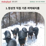 장수고원 꺼먹돼지 뒷다리살(후지) 1kg : 따부푸드