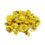 국산 건조 국화 10g /햄스터간식 : 햄토피아