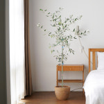 올리브나무 자가수정 품종 빈티지토분 : 한가족농원