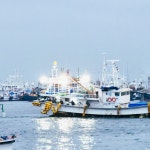 [새벽경매] 제주 갈치 은갈치 생물 대왕 생갈치 : 제주생선