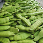 야곱의꿈농장 볶은 작두콩차 200g : 김제지평선몰