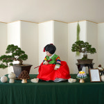 [출장세팅]분재돌상 한옥 돌잔치 아기한복대여 서울 경기 소규모 직계가족 : 온더돌상