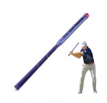 골프스윙 연습기 프로 골프 마스터 : 진마켓골프