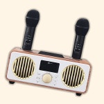 공연용 블루투스마이크 스피커세트 노래방마이크 2개 : 수담 스토어