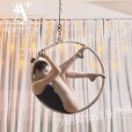 에어리얼 후프 950 폴댄스 요가 링 필라테스  스튜디오 : 대성---