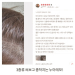 누아레모 단백질 염색샴푸 흰머리 새치 커버 블랙브라운, 200ml, 1개 : 누아레모