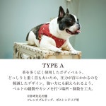 엔에프 애완동물 하네스 리드 세트 소형견 하네스 보디 벨트 리드 멋쟁이 레더 진짜 가죽 일본제 N F for pets TYPE-A 쥬얼리 엠보싱 애견용... 