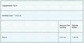 [1+1] 솔라레이 서방형 나이아신 250mg 100베지캡슐 : 웰스히어로