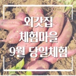 양평외갓집체험마을 촌캉스 당일체험 -9월 당일치기여행 : 외갓집체험마을
