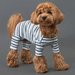 믹스골지올인원 강아지옷 애견의류 올인원 : 도그아이