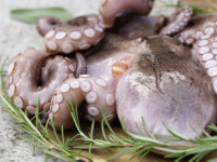 통영 자연산 돌문어 1kg : 조양물산