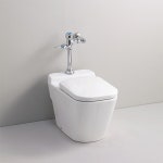 대림비앤코 대림바스 대변기 CC-115 TFT-306G 플러쉬밸브형 1EA : 오피스디포MRO