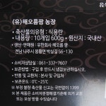 해오름팜 동물복지 프리미엄 무항생제 유정란 30구 : AGA 1943 아가몰