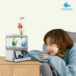 모모탱크 M-220 에디션 실버 일체형 미니어항 베타 구피 물고기키우기 수조 가정용 수족관 : 모비딕 공식몰