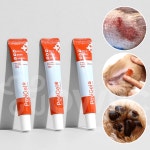 [트리플세트] 포비겔 강아지 고양이 곰팡이균 염증 피부염 약 연고 생식기 피부병 표피염 20g, 3개 : 하울릭