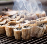 숨긴장어1kg 풍천장어 국내산 생물 초벌구이 : VCAST