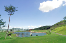 보성CC 1박2일 36홀 보성컨트리클럽 골프장여행패키지 : 데이아웃투어